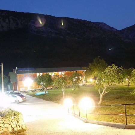 Guest House Jadran Pol Petrovac 외부 사진