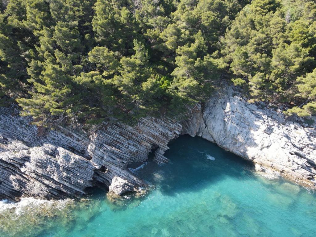 Guest House Jadran Pol Petrovac 외부 사진